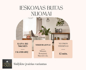 NT Brokerė Gita / Capital & House / Darbų pavyzdys ID 3511140