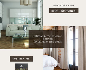 NT Brokerė Gita / Capital & House / Darbų pavyzdys ID 3511142