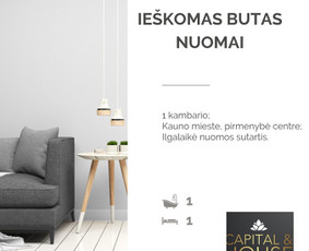 NT Brokerė Gita / Capital & House / Darbų pavyzdys ID 3511160