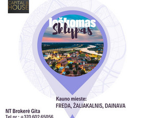 NT Brokerė Gita / Capital & House / Darbų pavyzdys ID 3511168