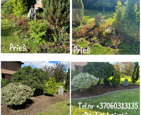 Vejos pjovimas-aplinkos priežiūra, tvarkymas. / Zigmas / Darbų pavyzdys ID 3512474