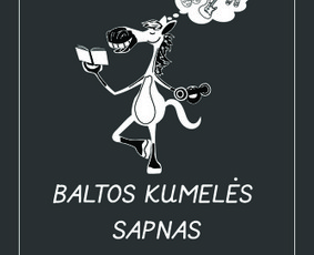 Kūrybiškas grafikos dizainas: nuo idėjos iki rezultato / MB Grafinio dizaino sprendimai / Darbų pavyzdys ID 3515036