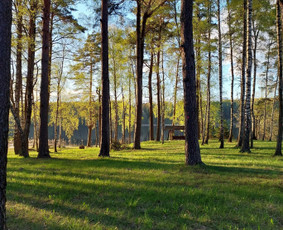 Sodybos nuoma jūsų šventėms ir stovykloms - Sodybos nuomai - 4 Sodybos nuomai - Sodybos nuoma jūsų šventėms ir stovykloms - 4