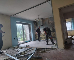 Griovimo demontavimo darbai visoje Lietuvoje / Lukas Majauskas / Darbų pavyzdys ID 3518464