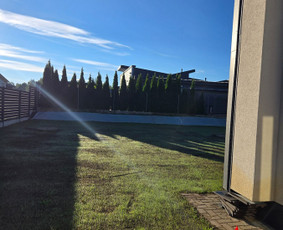 Vejos įrengimas: sėjimas, ruloninė veja - Vejos įrengimas, priežiūra,atnaujinimas, core aeravimas - 3