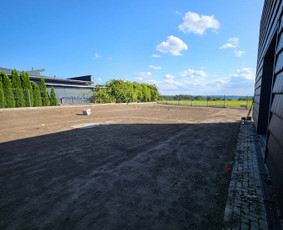 Vejos įrengimas: sėjimas, ruloninė veja - Vejos įrengimas, priežiūra,atnaujinimas, core aeravimas - 1