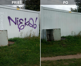 Spec. valymas: grafičių, fasado, sniego ir kt. / Profesionalus paviršių valymas. / Darbų pavyzdys ID 3520626