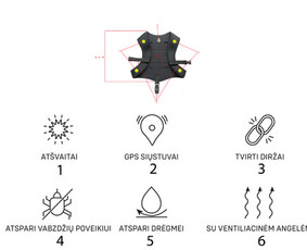 Logotipai, maketavimas, vizualinis identitetas. / Rasa / Darbų pavyzdys ID 3521232