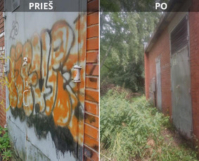 Spec. valymas: grafičių, fasado, sniego ir kt. / Profesionalus paviršių valymas. / Darbų pavyzdys ID 3521404