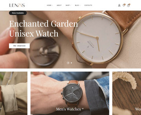Interneto svetainių kūrimas, e-shop, Seo optimizacija / Tomas Bagačiūnas / Darbų pavyzdys ID 3521588