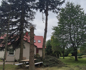 Medžių pjovimas, genėjimas. Aplinkos,miškų priežiūra / MB "Miškų Vilkai" / Darbų pavyzdys ID 3522748