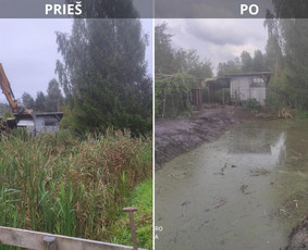 Visi žemės darbai: kasimas, lyginimas, formavimas ir t.t. / UAB 4Baltics / Darbų pavyzdys ID 3523132