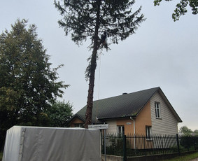 Medžių pjovimas, genėjimas. Aplinkos,miškų priežiūra / MB "Miškų Vilkai" / Darbų pavyzdys ID 3523298