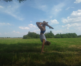 Joga, jogos treneriai - Joga ir/arba miško terapija Jūsų pasirinktoje vietoje - 2