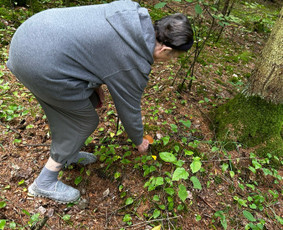 Individuali, orentuota į kiekvieno poreiki pagalba namuose - Ligonių slaugymas namuose - 4 Ligonių slaugymas namuose - Individuali, orentuota į kiekvieno poreiki pagalba namuose - 4