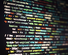 Profesionalus svetainių kūrimas ir priežiūra - Programavimas su WordPress - 1 Programavimas su WordPress - Profesionalus svetainių kūrimas ir priežiūra - 1