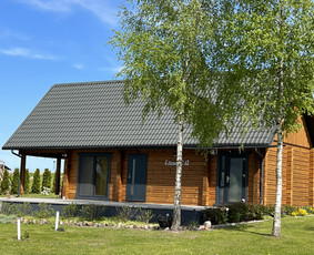 Statybos darbai - Statome rąstinius namus , pirtis , pavėsines - 1