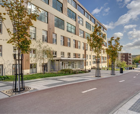 Nekilnojamojo turto brokeris Vilniuje Darjuš Urbanovič / Darjuš Urbanovič / Darbų pavyzdys ID 3530681
