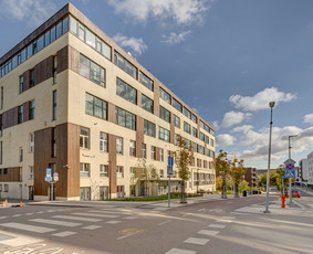 Nekilnojamojo turto brokeris Vilniuje Darjuš Urbanovič / Darjuš Urbanovič / Darbų pavyzdys ID 3530683