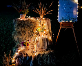 Švenčių dekoravimas, Renginių koordinavimas bei Planavimas. / Šarlota Decor / Darbų pavyzdys ID 3530869
