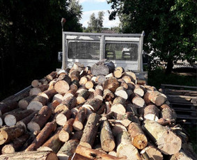 Sausos sausuoliu malkos. - Malkos: gamyba, pristatymas - 1 Malkos: gamyba, pristatymas - Sausos sausuoliu malkos. - 1