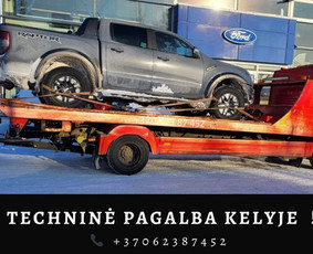 Platformos,traliuku ir priekabu nuoma Alytus ! / Platformu, traliuku ir priekabu nuoma / Darbų pavyzdys ID 3532785