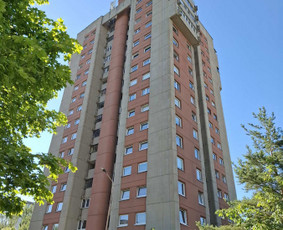 Hermetizavimo,mūro remonto bei tinkavimo darbus aukštyje / Ramūnas Zakarevičius / Darbų pavyzdys ID 3533053