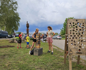 Mobilių kubilų, medinių lauko/vidaus žaidimų nuoma / medinių lauko/vidaus žaidimų nuoma / Darbų pavyzdys ID 3533097
