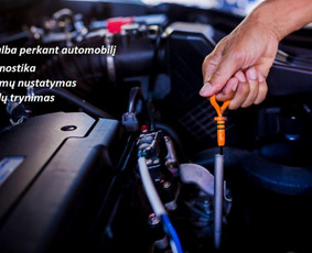 Pro autopatikra Lt / Automobilių patikra prieš pirkimą / Pro Autopatikra / Darbų pavyzdys ID 3533803