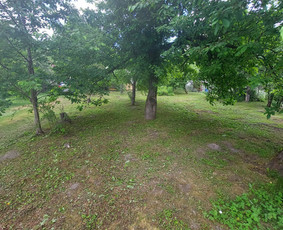 Kokybiškas Žolės Pjovimas: Kaunas – Marijampolė / Vitalijus Be / Darbų pavyzdys ID 3454074