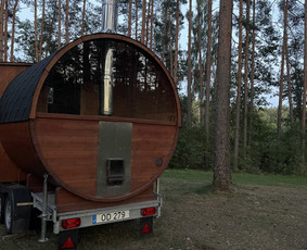 Mobilaus kubilo, pirties ir Batutų nuoma / Justė R. / Darbų pavyzdys ID 3535361