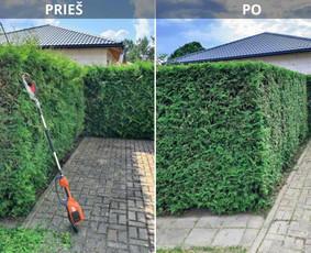 Aplinkos priežiūra, medžių genėjimas ir kt. - Aplinka, sodas - 1 Aplinka, sodas - Aplinkos priežiūra, medžių genėjimas ir kt. - 1