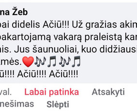 Muzikantai, atlikėjai, vedėjas / Aleksandras La & Rugilė / Darbų pavyzdys ID 3537073