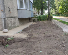 Apželdinimas,aeravimas, vejos/žolės pjovimas ir kt. - Vejos įrengimas: sėjimas, ruloninė veja - 4 Vejos įrengimas: sėjimas, ruloninė veja - Apželdinimas,aeravimas, vejos/žolės pjovimas ir kt. - 4