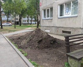 Apželdinimas,aeravimas, vejos/žolės pjovimas ir kt. - Vejos įrengimas: sėjimas, ruloninė veja - 2 Vejos įrengimas: sėjimas, ruloninė veja - Apželdinimas,aeravimas, vejos/žolės pjovimas ir kt. - 2