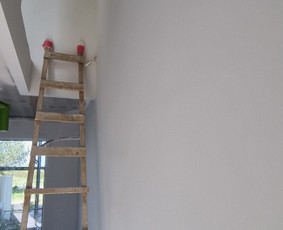 Sienų dažymas Klaipėdas, darbas mechanizuotai / Donatas Jucevičius / Darbų pavyzdys ID 3540369