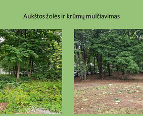 Gerbūvio paslaugos nuo A iki Z - Apleistų sklypų tvarkymas - 1 Apleistų sklypų tvarkymas - Gerbūvio paslaugos nuo A iki Z - 1