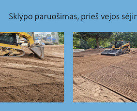 Gerbūvio paslaugos nuo A iki Z - Alpinariumų, gėlynų įrengimas - 1 Alpinariumų, gėlynų įrengimas - Gerbūvio paslaugos nuo A iki Z - 1