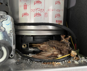 Dujinių katilų, aptarnavimas, remontas ir paleidimas 24/7 - Dujinių katilų remontas - 2 Dujinių katilų remontas - Dujinių katilų, aptarnavimas, remontas ir paleidimas 24/7 - 2