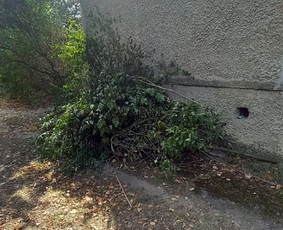 Pigiausias atliekų, šiukšlių išvežimas perkraustymo griovimo / Siuksliu isvezimas Griovimo darbai / Darbų pavyzdys ID 3541885