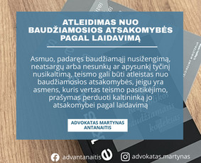 Profesionalios ir sąžiningos advokato teisinės paslaugos - Baudžiamosios teisės paslaugos - 1 Baudžiamosios teisės paslaugos - Profesionalios ir sąžiningos advokato teisinės paslaugos - 1