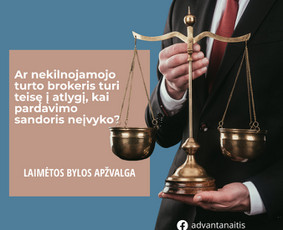 Paslaugos verslui - Profesionalios ir sąžiningos advokato teisinės paslaugos - 4