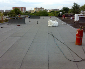 Epdm,pvc,bitumine danga,skardinimas,ventiliuojami fasadai / "Roofas Lietuva" / Darbų pavyzdys ID 3543267