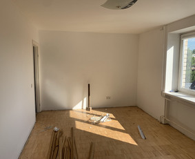 Griovimo ir demontavimo darbai / Mykolas / Darbų pavyzdys ID 3544549