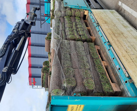 Transportas - Fiskaro paslaugos - 1