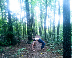 Joga, jogos treneriai - Joga ir/arba miško terapija Jūsų pasirinktoje vietoje - 1