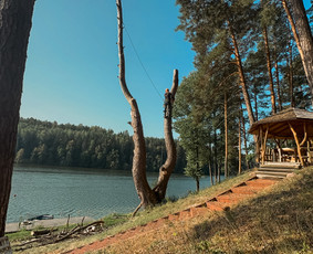 Apleistų sklypų tvarkymas / Žolės Pjovimas / Genėjimas / Žemelės barberis / Darbų pavyzdys ID 3547383