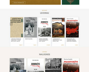 El. parduotuvių kūrimas - Internetinių svetainių, E- parduotuvių kūrimas - 1