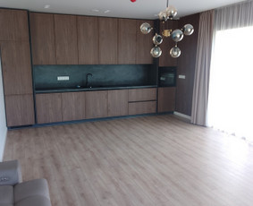 Apdailos,elektros,remonto darbai.baldai / Apdailos darbai / Darbų pavyzdys ID 3549987
