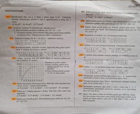 Mokymai, kursai, kalbos - Jėzuitų gimnazijos matematikos mokytoja - 4